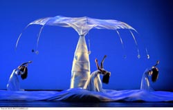 momix bothanica lugano